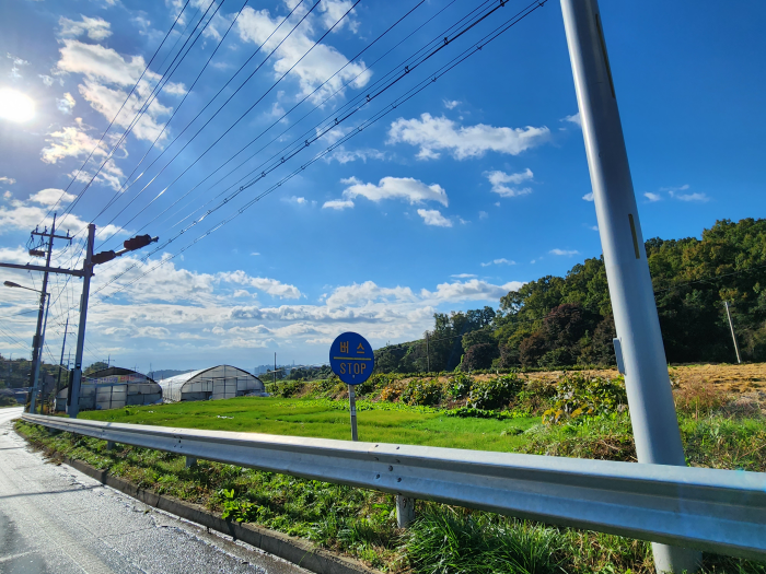 Countryside scenery