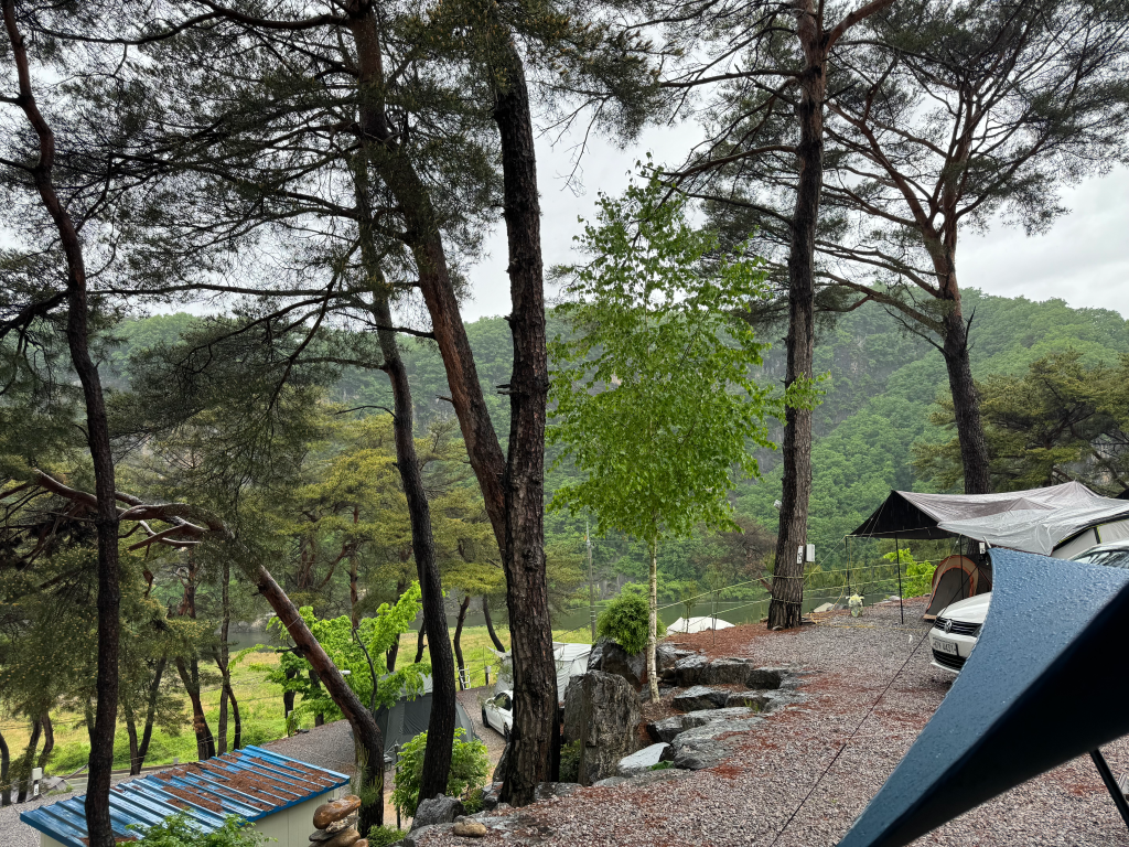I like camping because I can rest for a while close to nature.
- Hygge Forest — photo 3