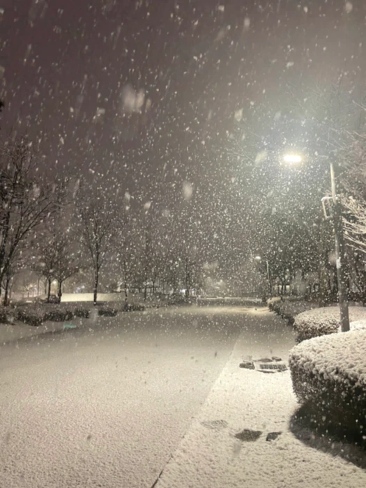 A snowy winter day. — photo 2